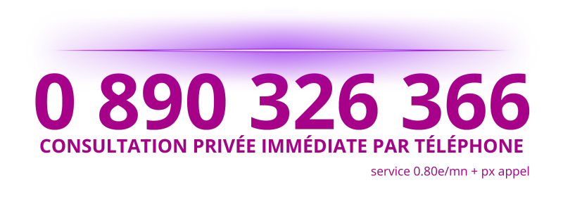 0 890 326 366 voyace audiotel